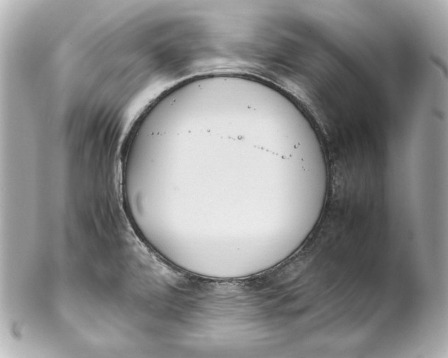 X0000102251472200808151805