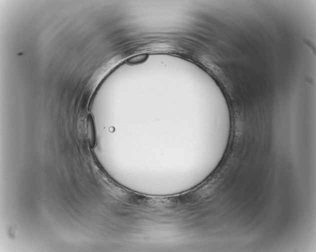 X0000102251473200808151805