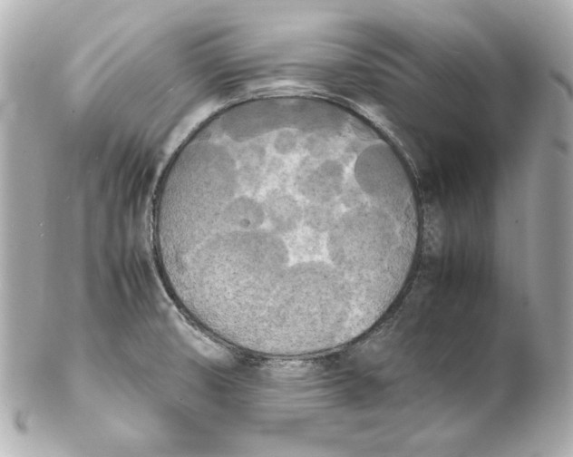 X0000102251474200808151805