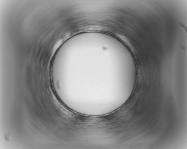 X0000102251475200808151805