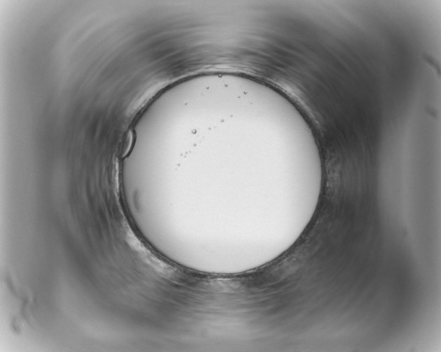 X0000102251476200808151805