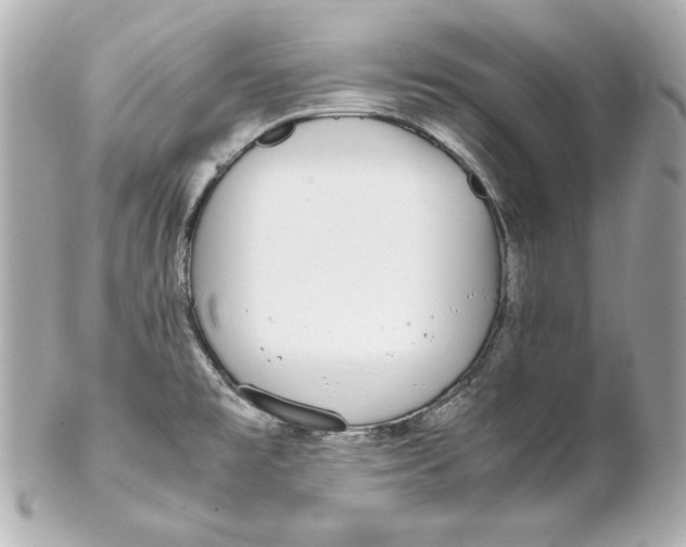 X0000102251477200808151805