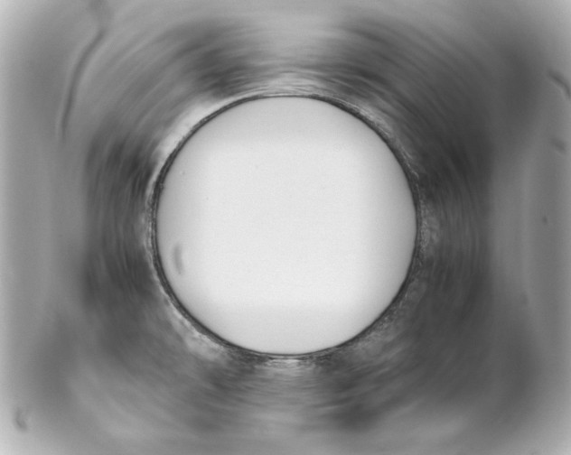 X0000102251478200808151805