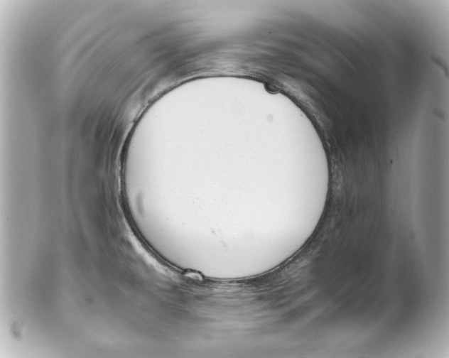 X0000102251479200808151805