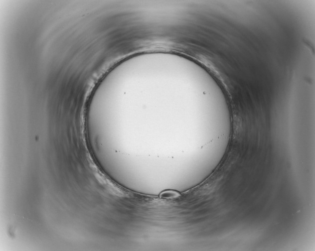 X0000102251480200808151805