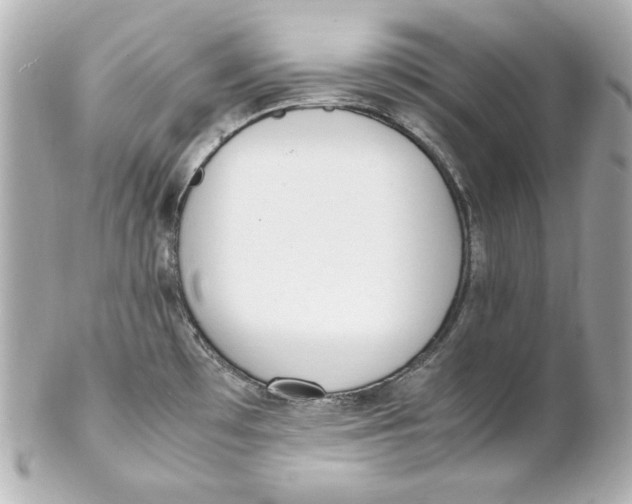 X0000102251481200808151805