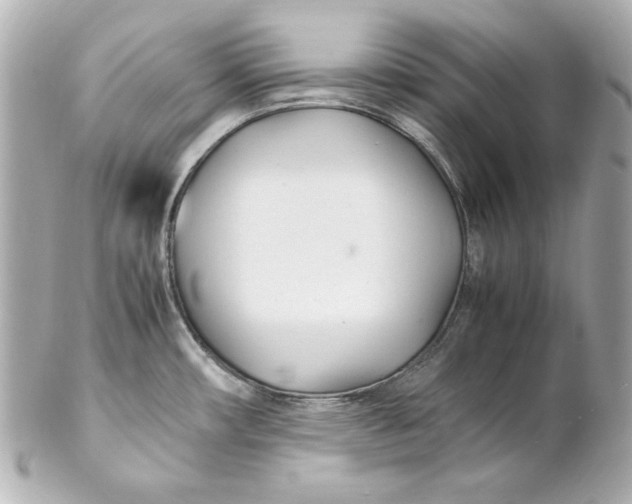 X0000102251482200808151805