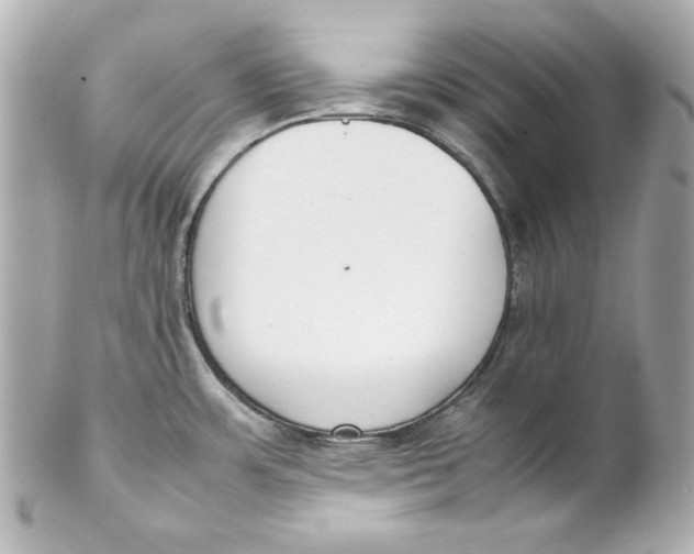 X0000102251483200808151805