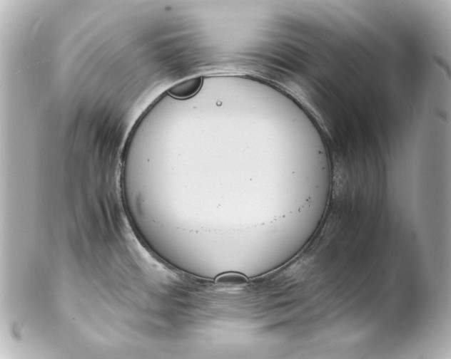 X0000102251484200808151805