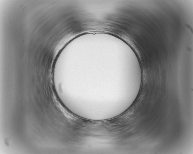 X0000102251485200808151805