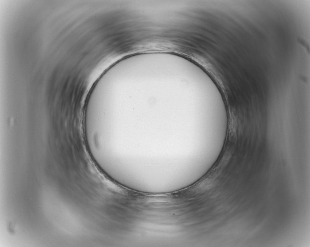 X0000102251486200808151805