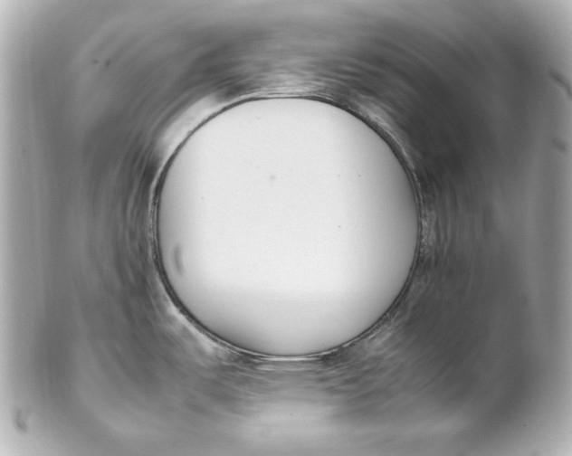 X0000102251487200808151805