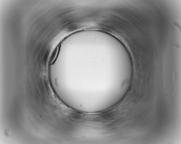 X0000102251488200808151805