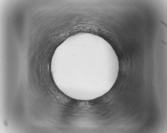 X0000102251489200808151804