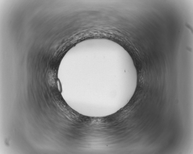 X0000102251490200808151804