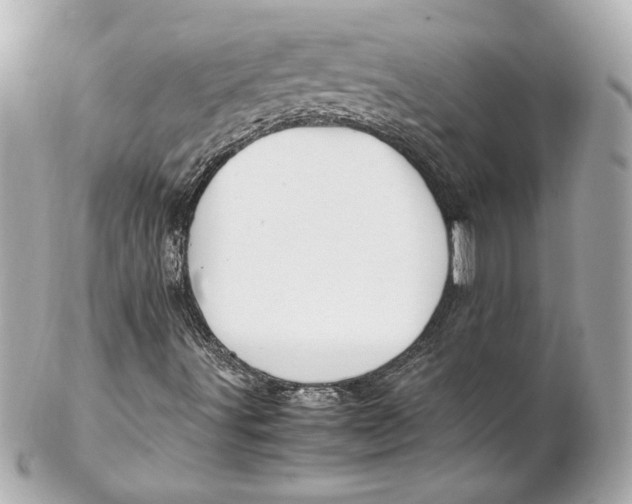 X0000102251491200808151804