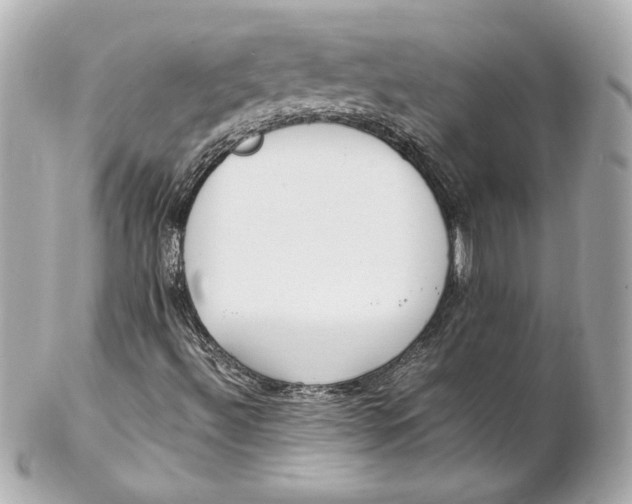 X0000102251492200808151804