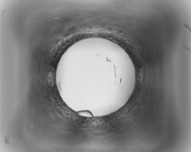 X0000102251493200808151804