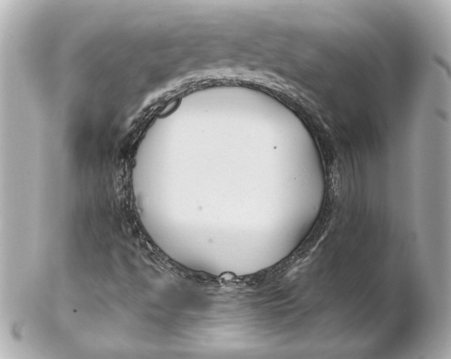 X0000102251494200808151804