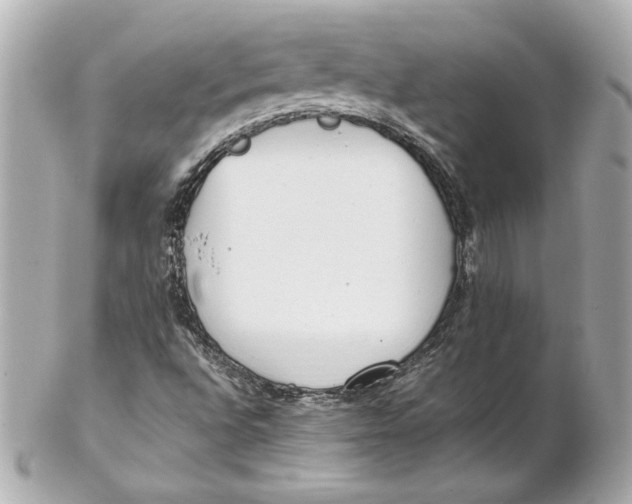 X0000102251496200808151804