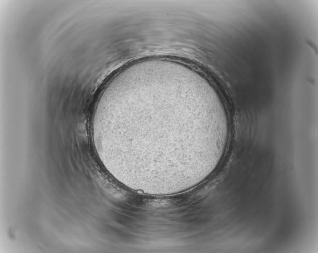 X0000102251497200808151804