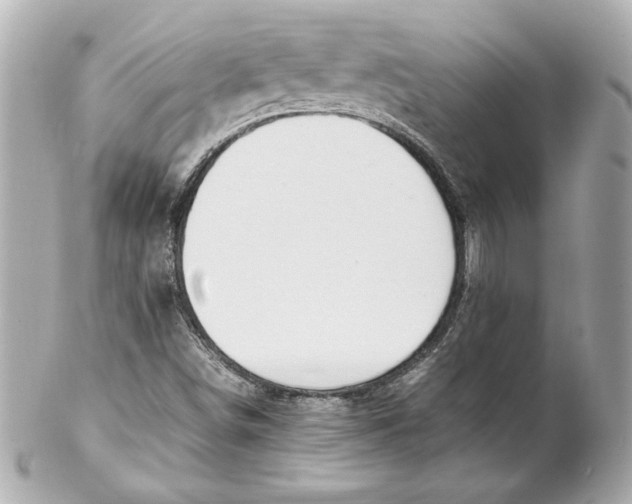 X0000102251498200808151804