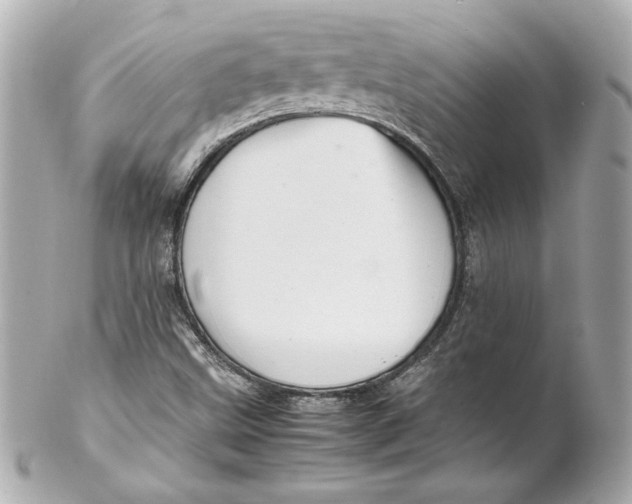 X0000102251499200808151804