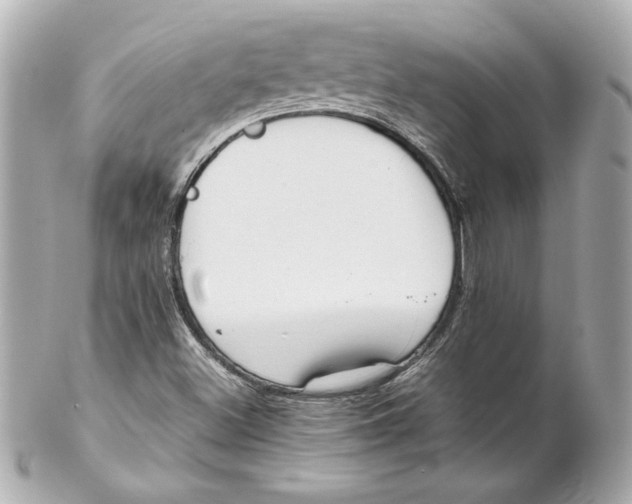 X0000102251500200808151804