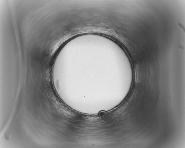 X0000102251501200808151804