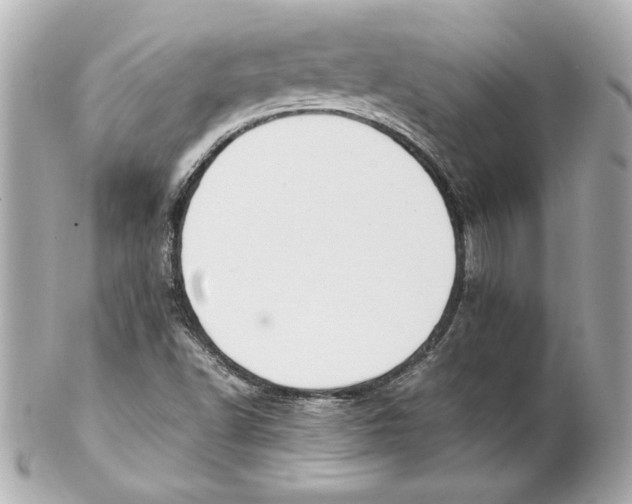 X0000102251502200808151804