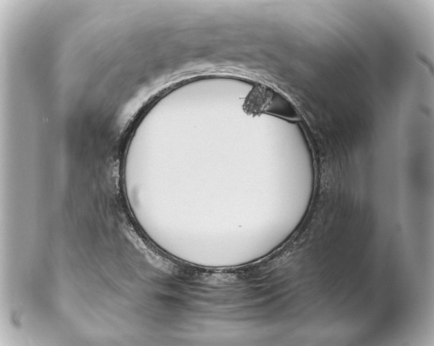 X0000102251503200808151805