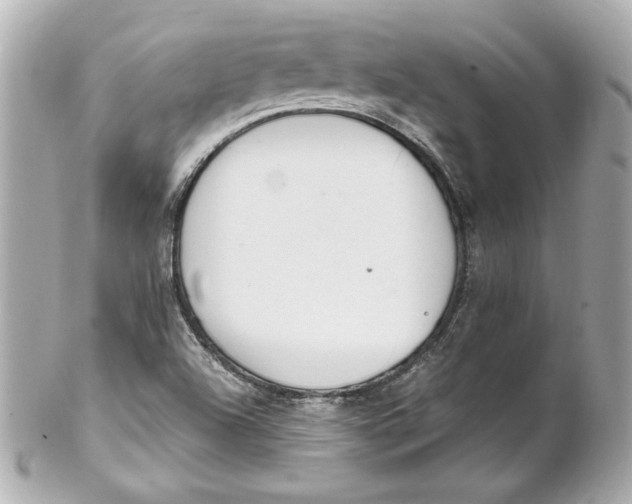 X0000102251504200808151805