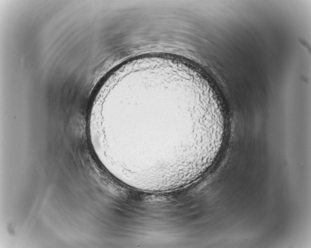 X0000102251505200808151805