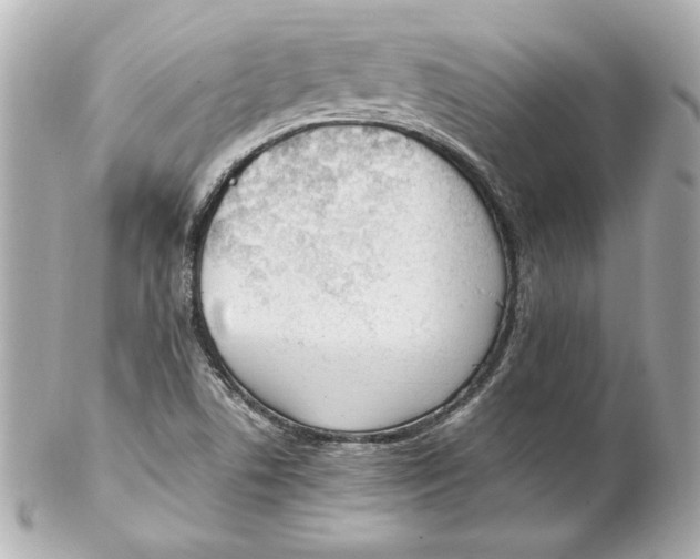 X0000102251506200808151805