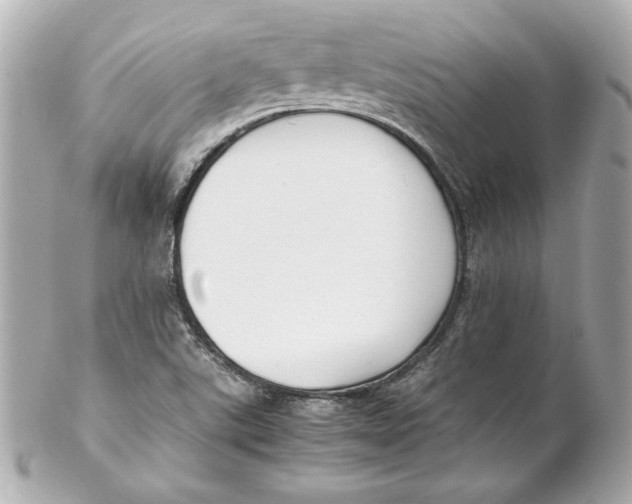 X0000102251507200808151805