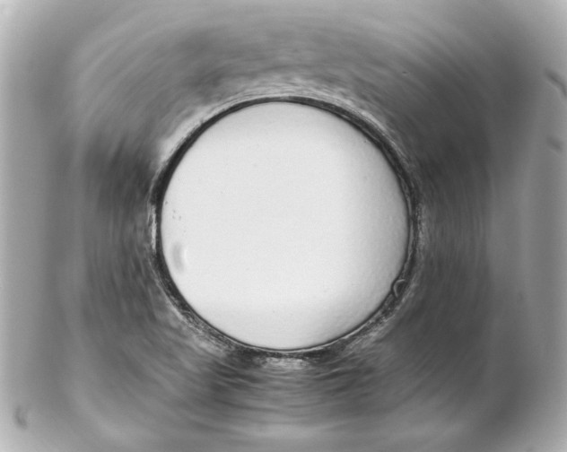 X0000102251509200808151805