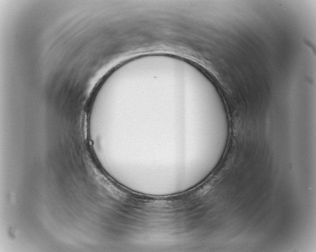 X0000102251510200808151805