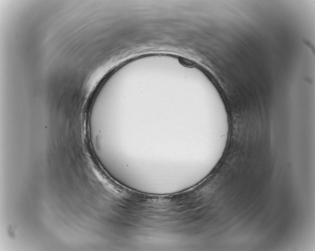 X0000102251511200808151805