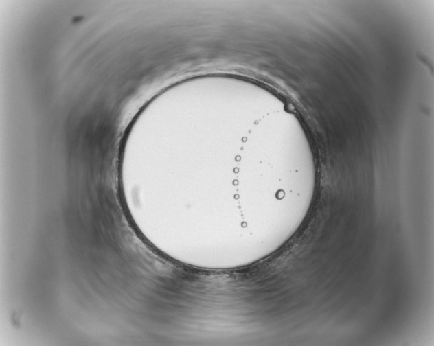 X0000102251512200808151805