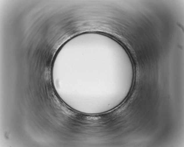 X0000102251513200808151805