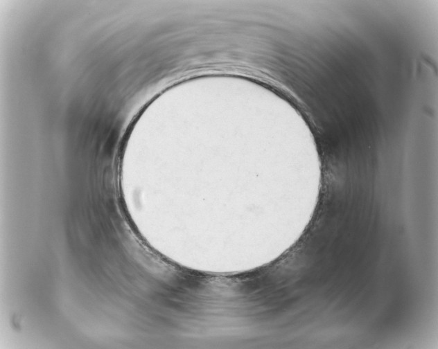 X0000102251514200808151805