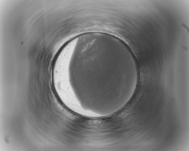 X0000102251515200808151805