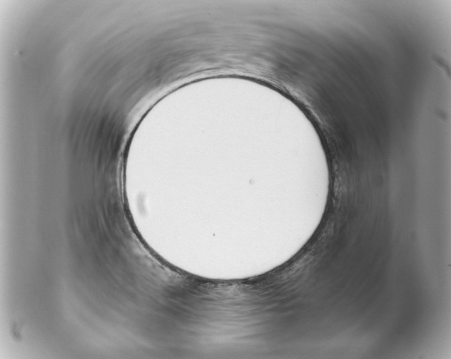 X0000102251516200808151805