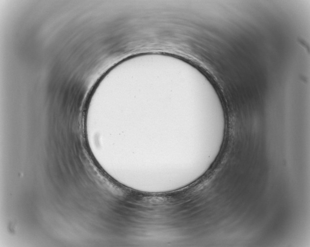 X0000102251517200808151805