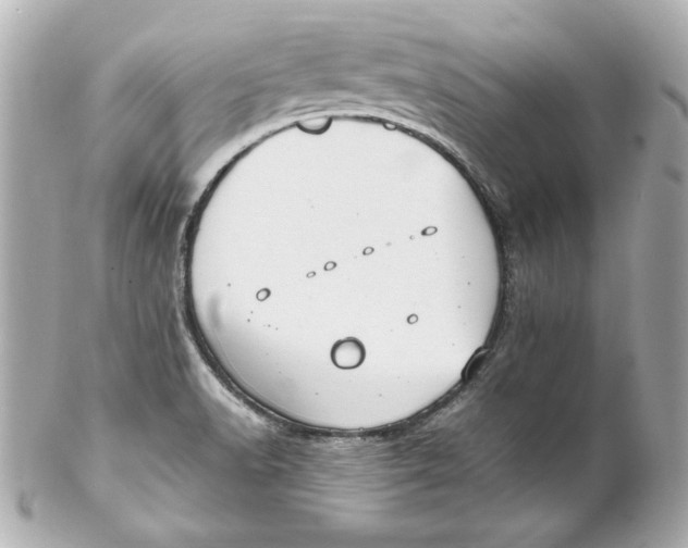 X0000102251518200808151805