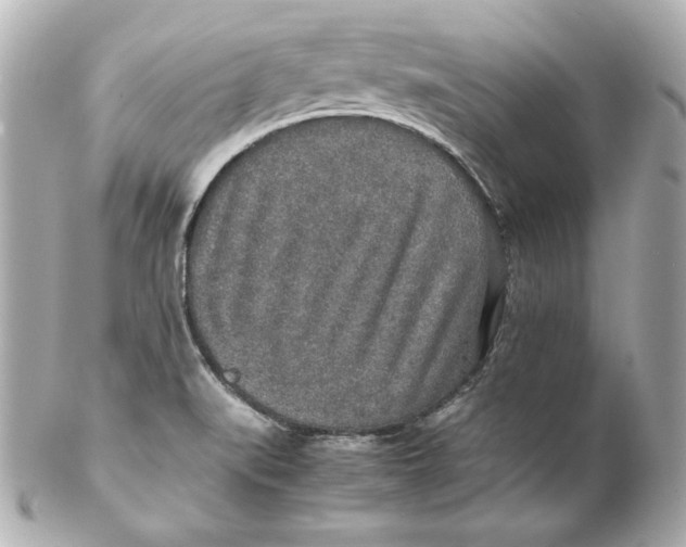 X0000102251519200808151805