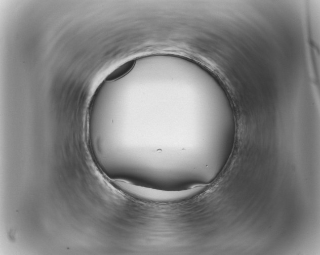 X0000102251520200808151805