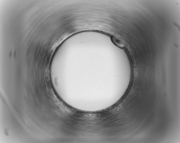 X0000102251521200808151805