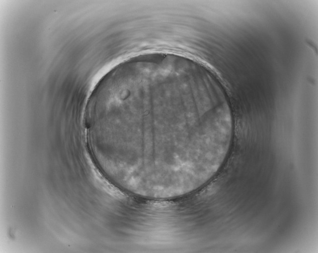 X0000102251522200808151805