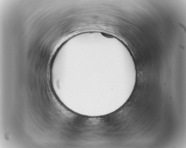 X0000102251523200808151805